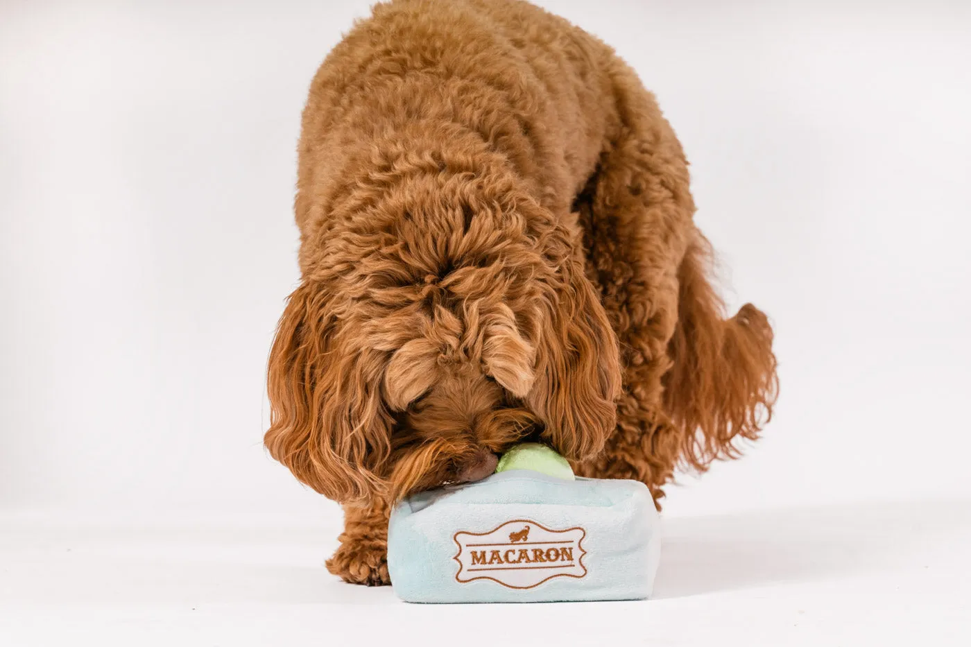 Pup Cup Cafe Mutt-a-rons
