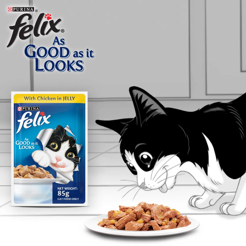 Purina Felix Chicken with Jelly and Salmon with Jelly Adult Cat Wet Food Combo