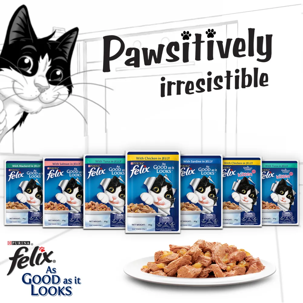 Purina Felix Chicken with Jelly and Salmon with Jelly Adult Cat Wet Food Combo