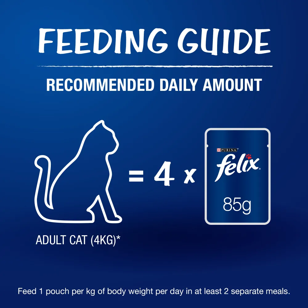 Purina Felix Mackerel with Jelly and Sardine with Jelly Adult Cat Wet Food Combo