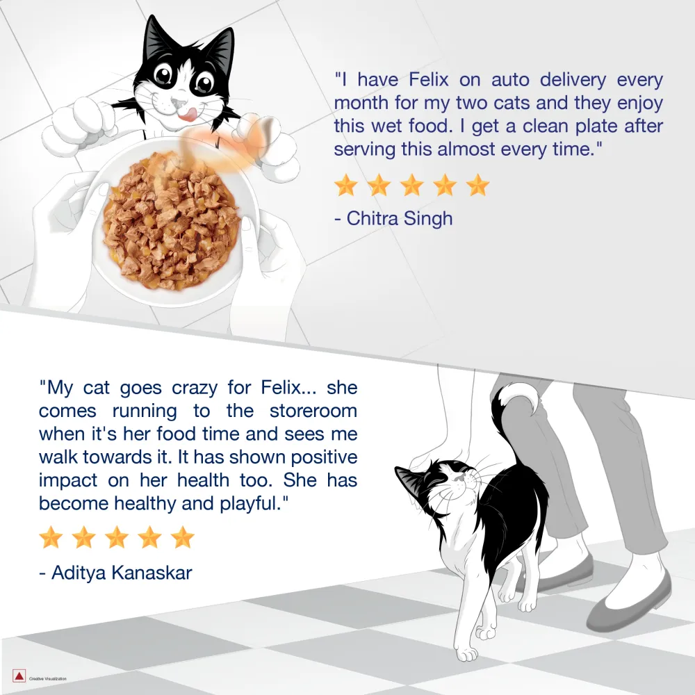 Purina Felix Mackerel with Jelly and Sardine with Jelly Adult Cat Wet Food Combo