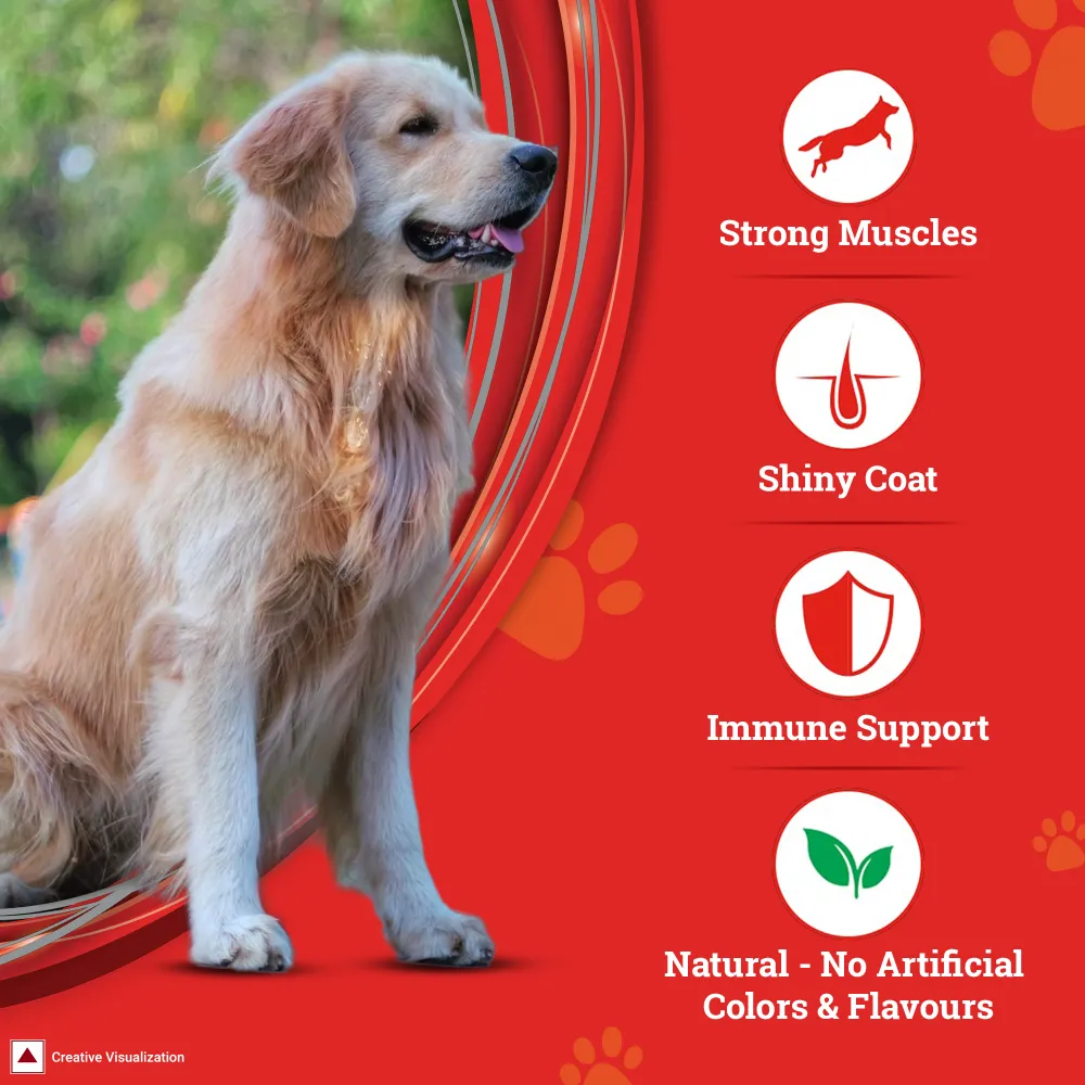 Purina SuperCoat Chicken Smartblend Adult Dog Dry Food (1  Years)