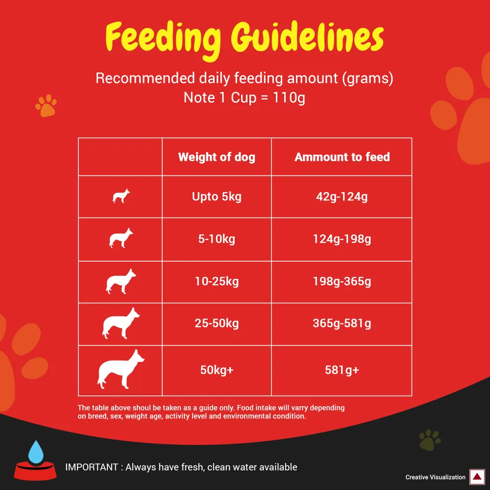 Purina SuperCoat Chicken Smartblend Adult Dog Dry Food (1  Years)