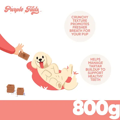 Purple Tails Meat and Veggies Biscuits Dog Treat