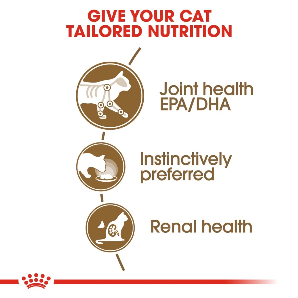 Royal Canin Ageing  12 Adult Cat Wet Food