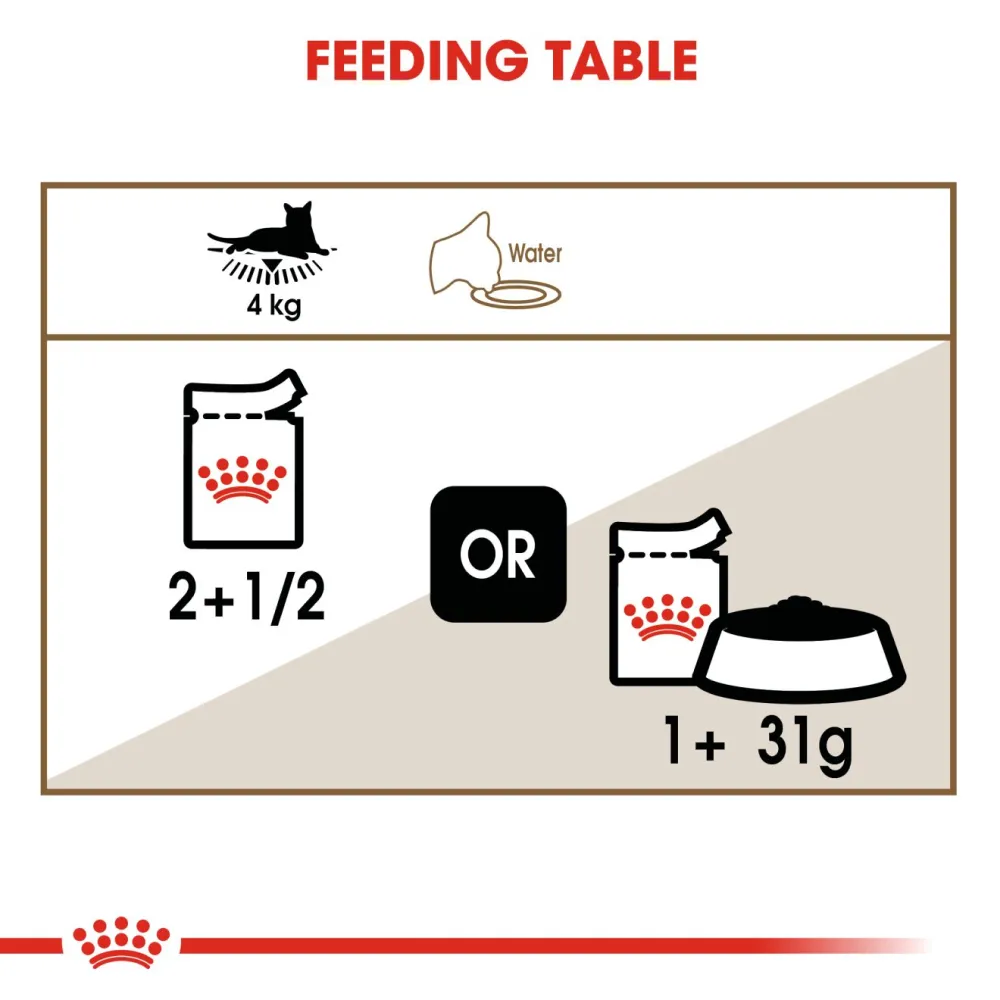 Royal Canin Ageing  12 Adult Cat Wet Food