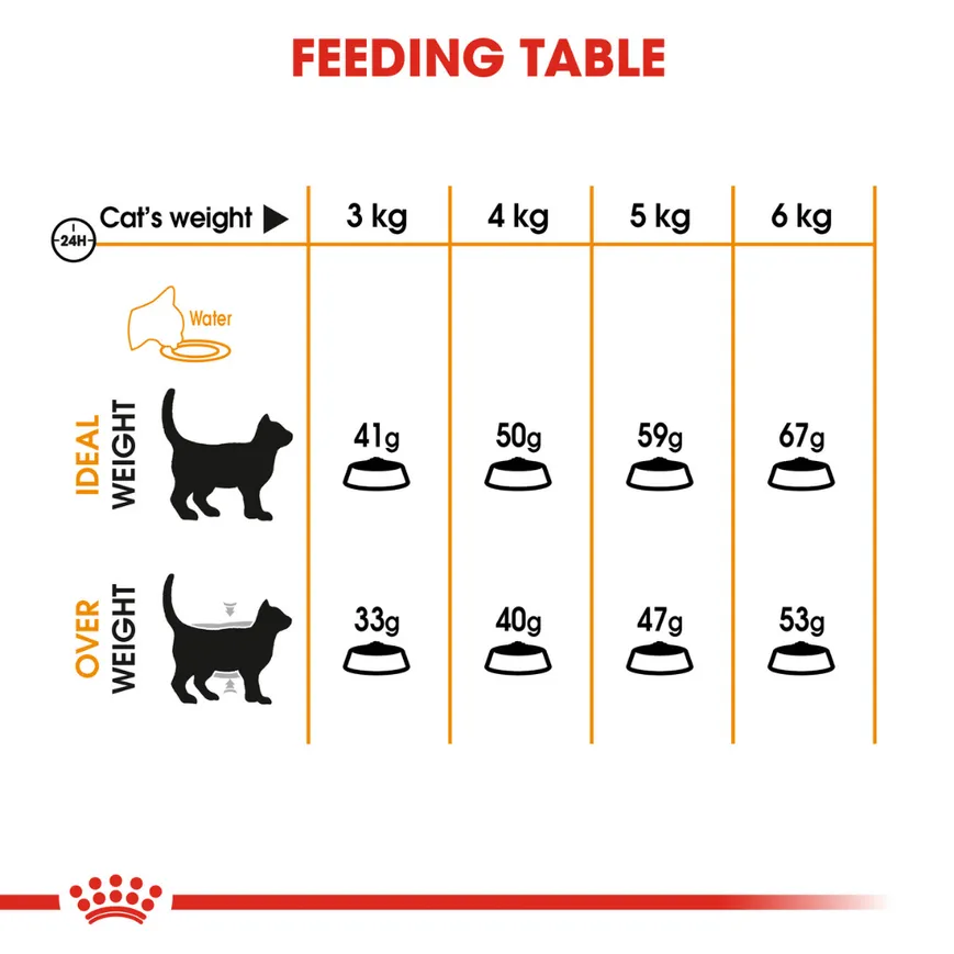 Royal Canin Fit 32 Dry Food and Hair & Skin Care Adult Cat Dry Food Combo