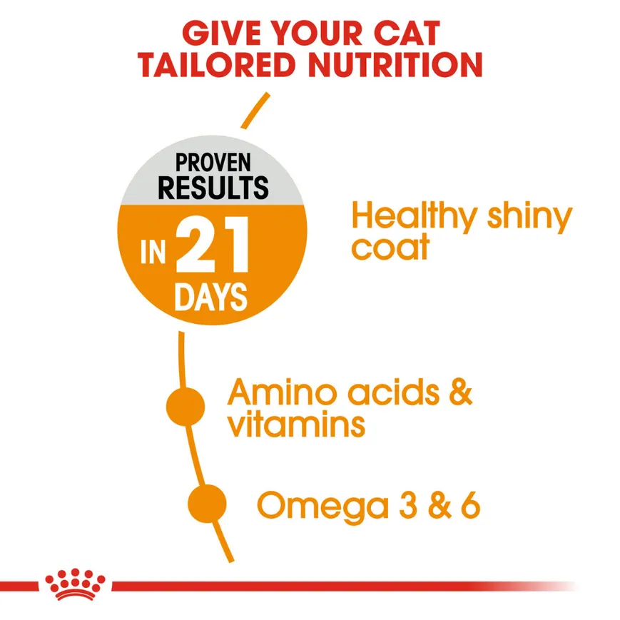 Royal Canin Fit 32 Dry Food and Hair & Skin Care Adult Cat Dry Food Combo
