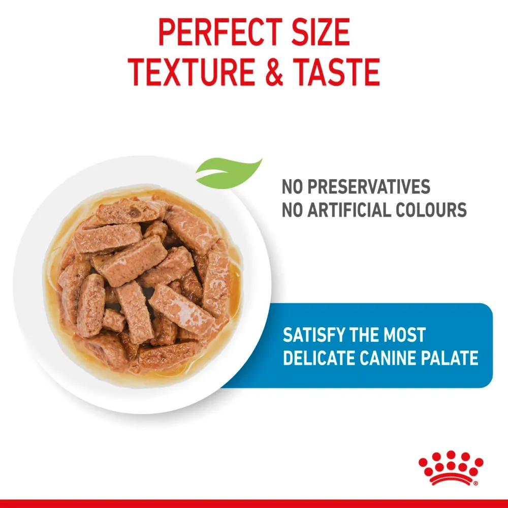 Royal Canin German Shepherd Dry Food and Maxi Puppy Dog Wet Food Combo
