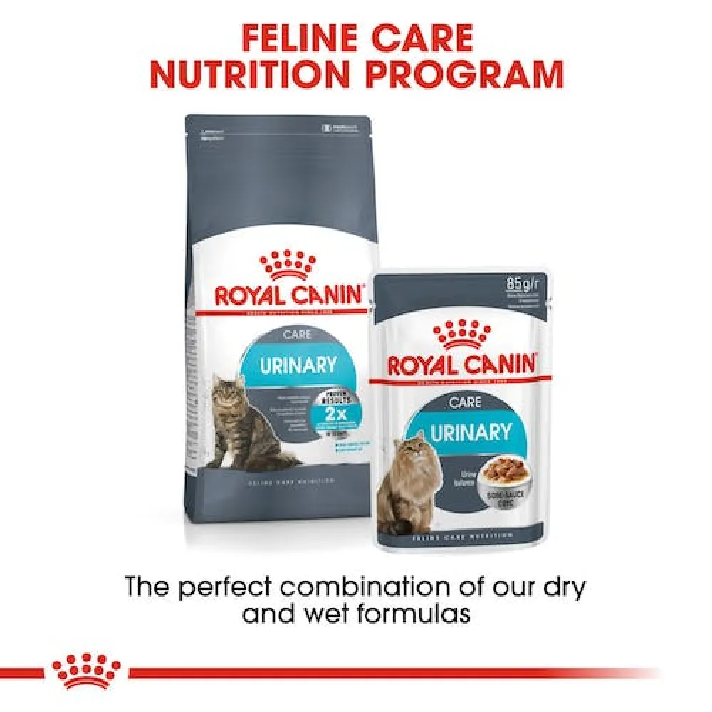 Royal Canin Hairball Care Dry Food and Urinary Care Adult Cat Dry Food Combo