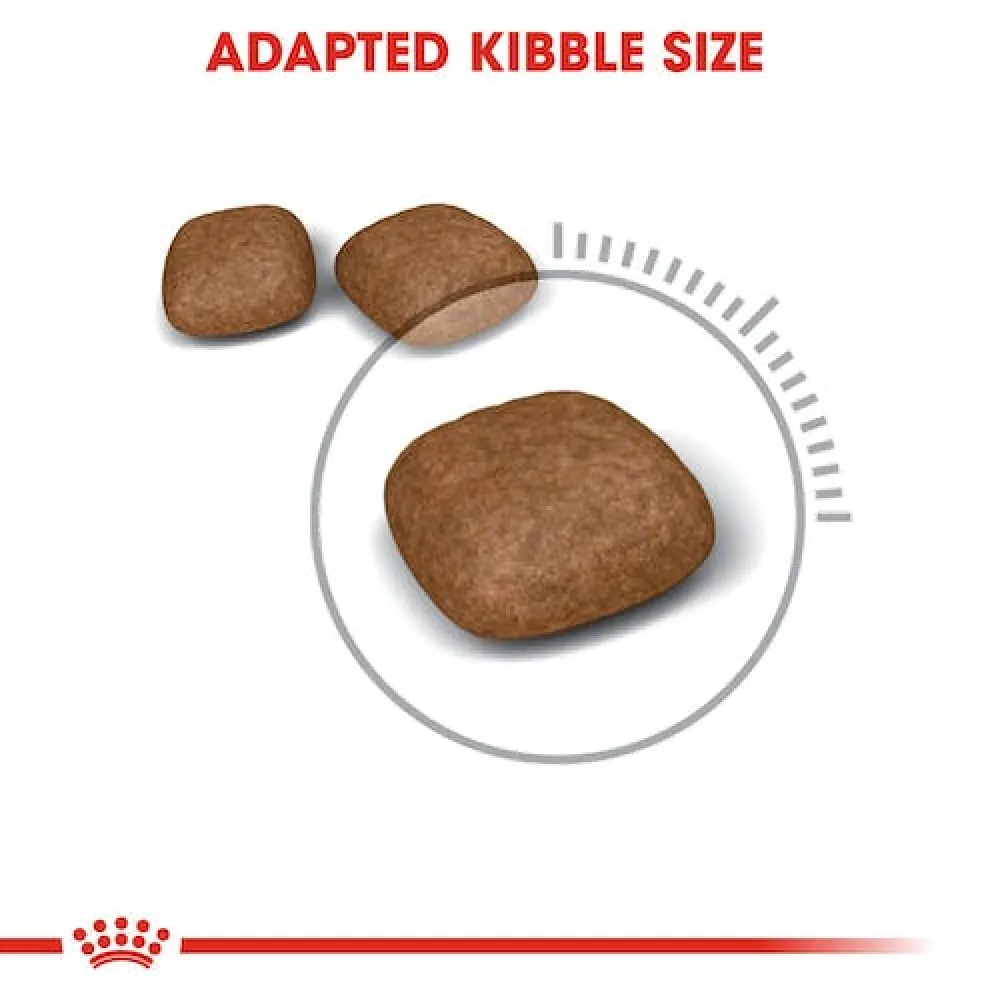 Royal Canin Hairball Care Dry Food and Urinary Care Adult Cat Dry Food Combo