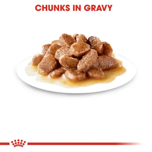 Royal Canin Instinctive Gravy Wet Food and Hair & Skin Care Adult Gravy Cat Wet Food Combo