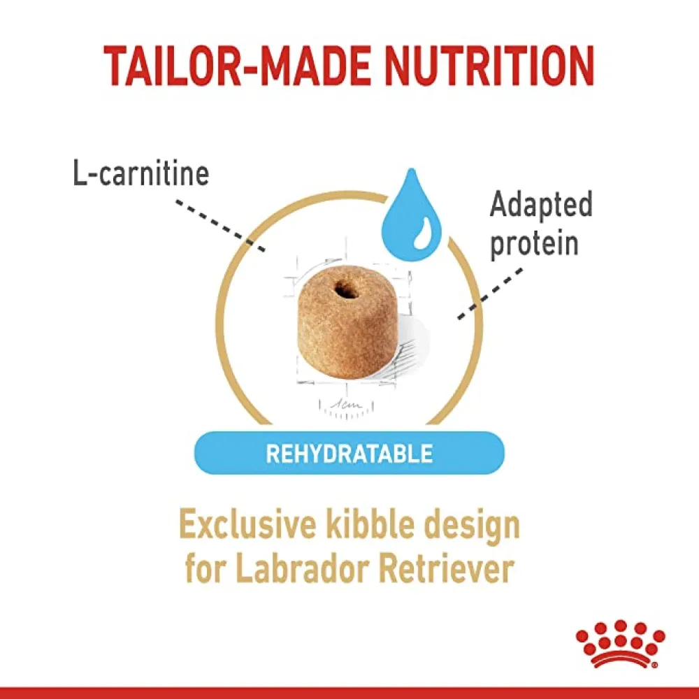 Royal Canin Labrador Adult 5  Dog Dry Food