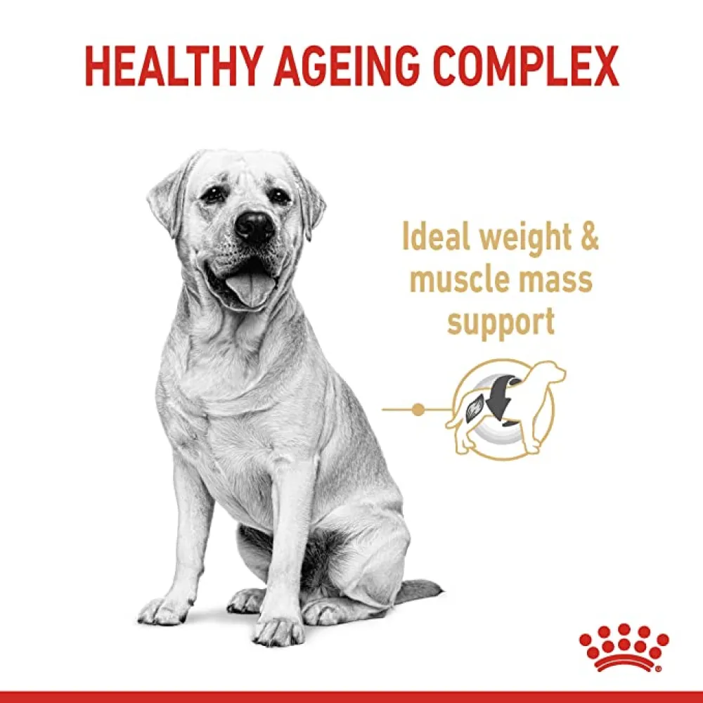 Royal Canin Labrador Adult 5  Dog Dry Food