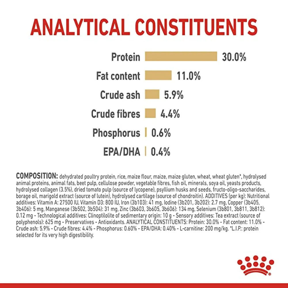 Royal Canin Labrador Adult 5  Dog Dry Food