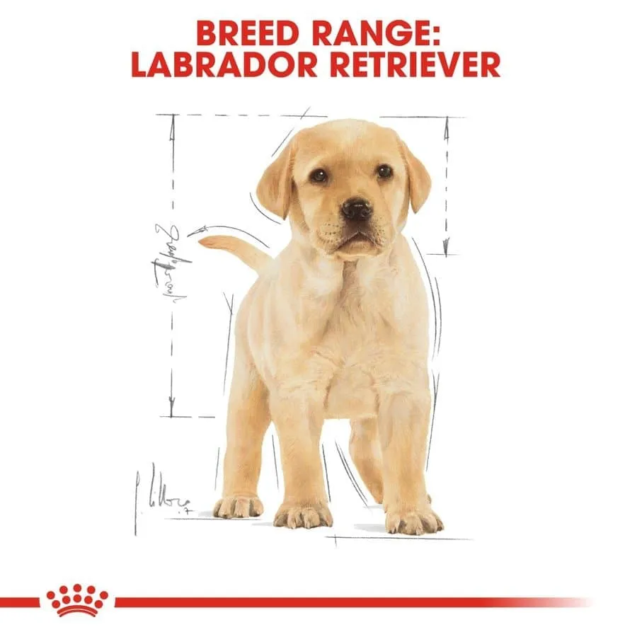 Royal Canin Labrador Retriever Puppy Dog Dry Food