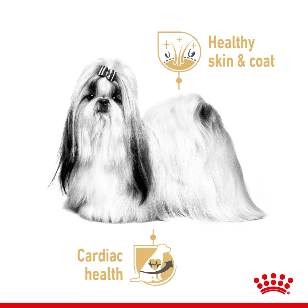 Royal Canin Loaf In Gravy Shih Tzu Adult Dog Wet Food