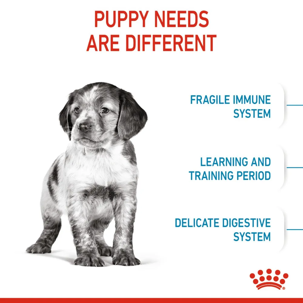 Royal Canin Medium Puppy Dog Dry Food (Limited Shelf Life)
