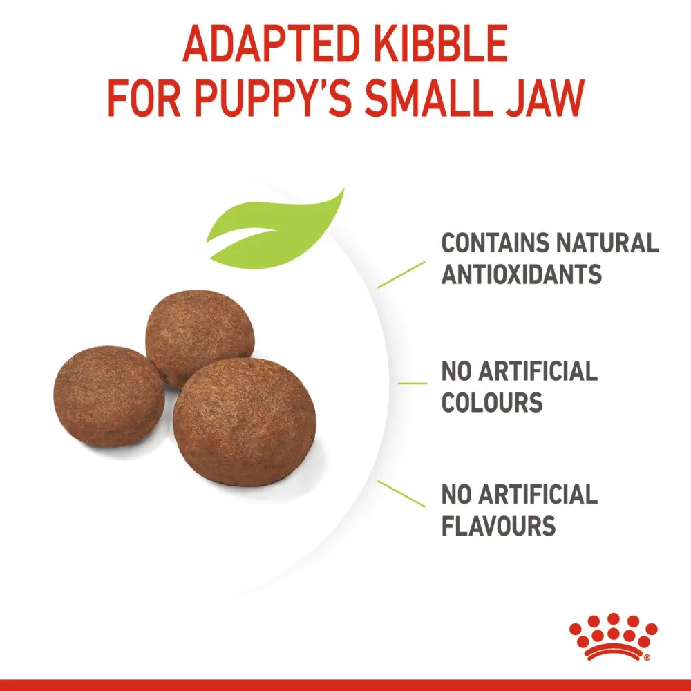 Royal Canin Medium Puppy Dog Dry Food (Limited Shelf Life)
