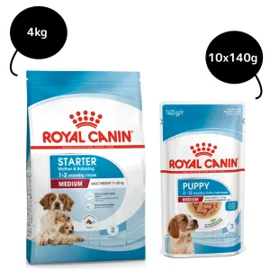 Royal Canin Medium Starter Dry Food for Medium Breed Dog and Puppies and Medium Puppy Dog Wet Food Combo