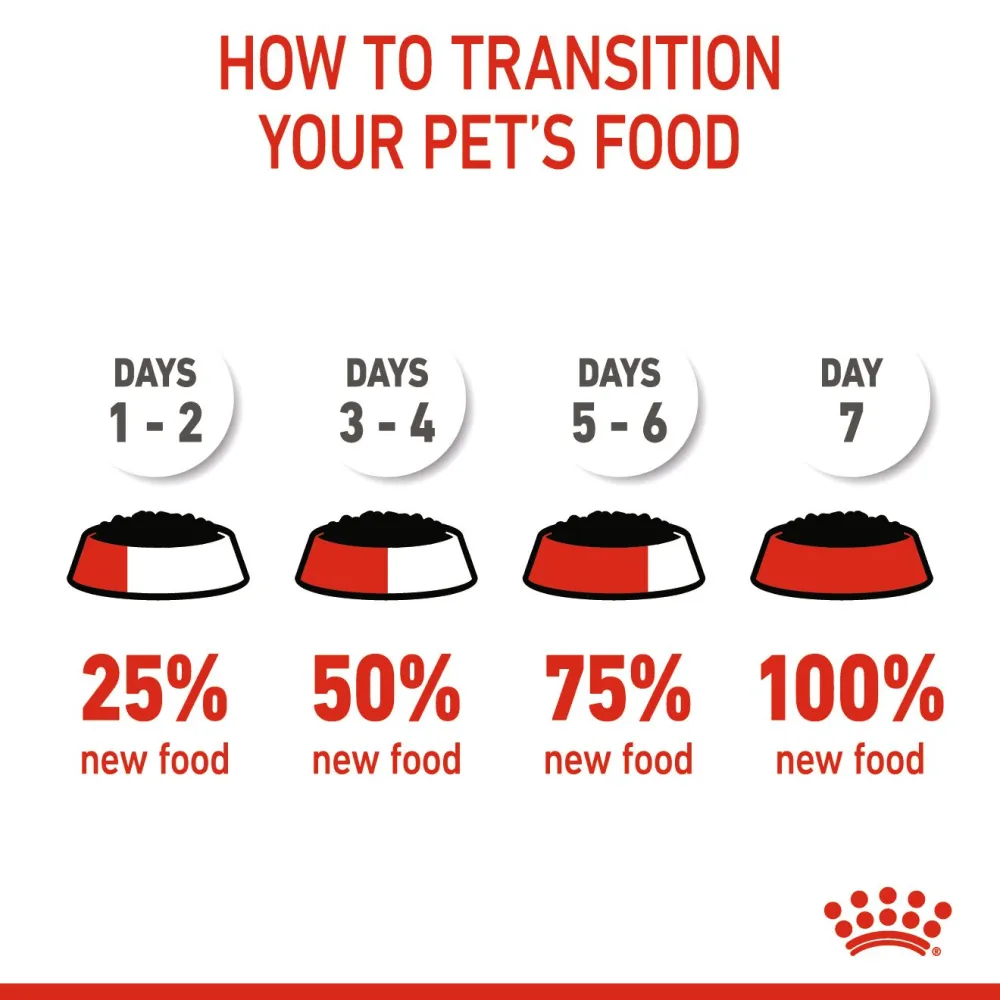 Royal Canin Medium Starter Dry Food for Medium Breed Dog and Puppies and Medium Puppy Dog Wet Food Combo