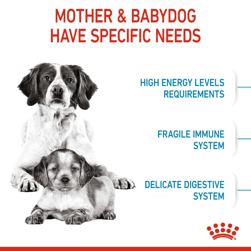 Royal Canin Medium Starter Dry Food for Medium Breed Dog and Puppies and Medium Puppy Dog Wet Food Combo