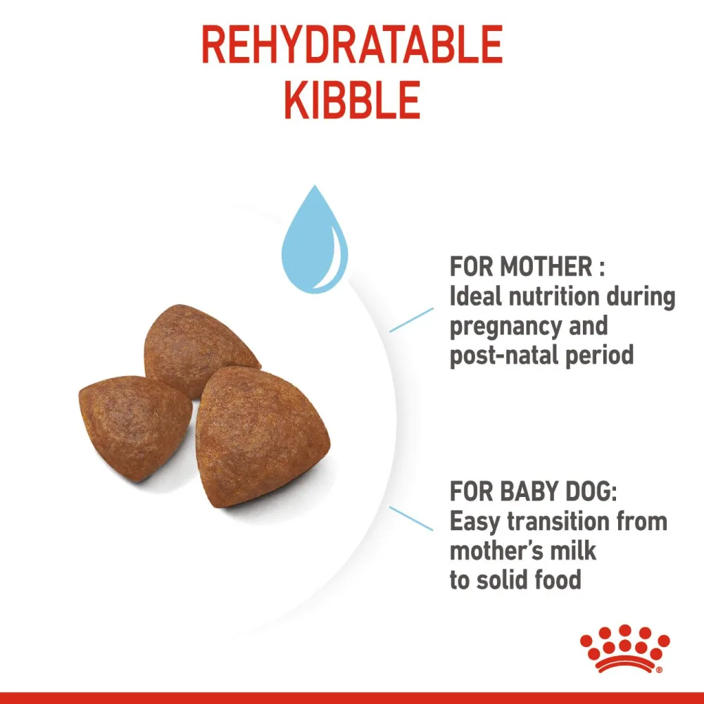 Royal Canin Medium Starter Dry Food for Medium Breed Dog and Puppies and Medium Puppy Dog Wet Food Combo