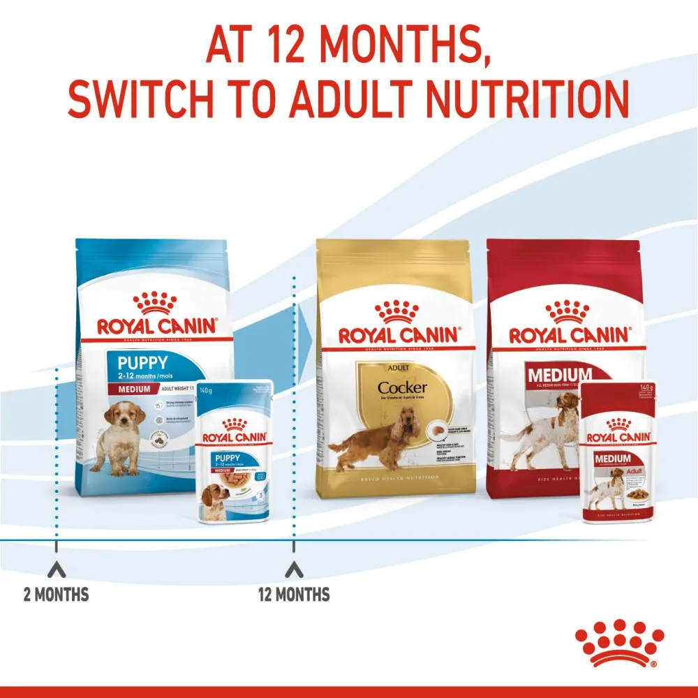 Royal Canin Medium Starter Dry Food for Medium Breed Dog and Puppies and Medium Puppy Dog Wet Food Combo