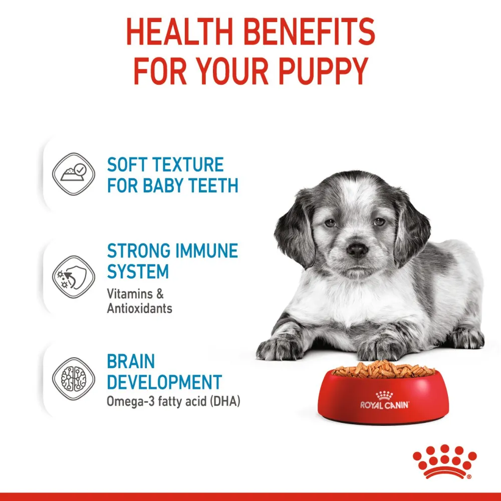 Royal Canin Medium Starter Dry Food for Medium Breed Dog and Puppies and Medium Puppy Dog Wet Food Combo