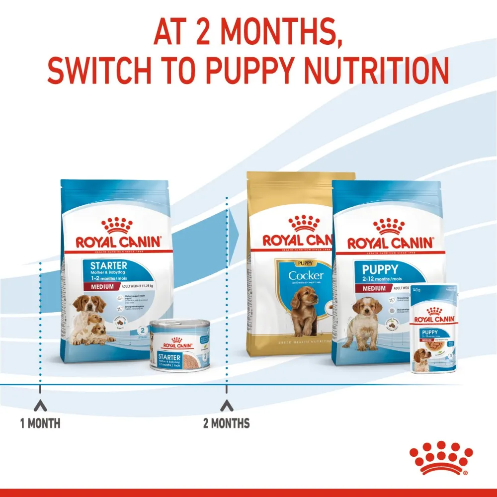Royal Canin Medium Starter Dry Food for Medium Breed Dog and Puppies and Medium Puppy Dog Wet Food Combo