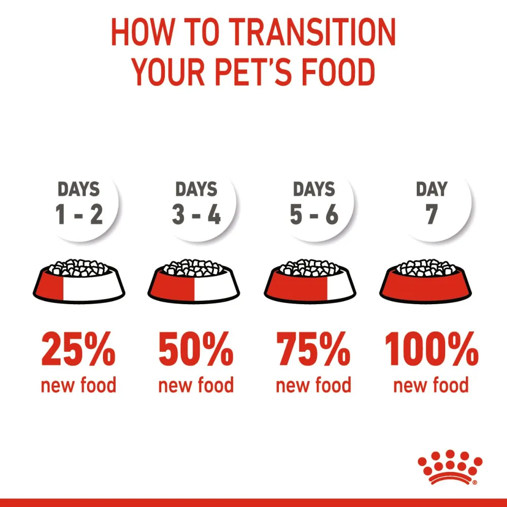 Royal Canin Medium Starter Dry Food for Medium Breed Dog and Puppies and Medium Puppy Dog Wet Food Combo