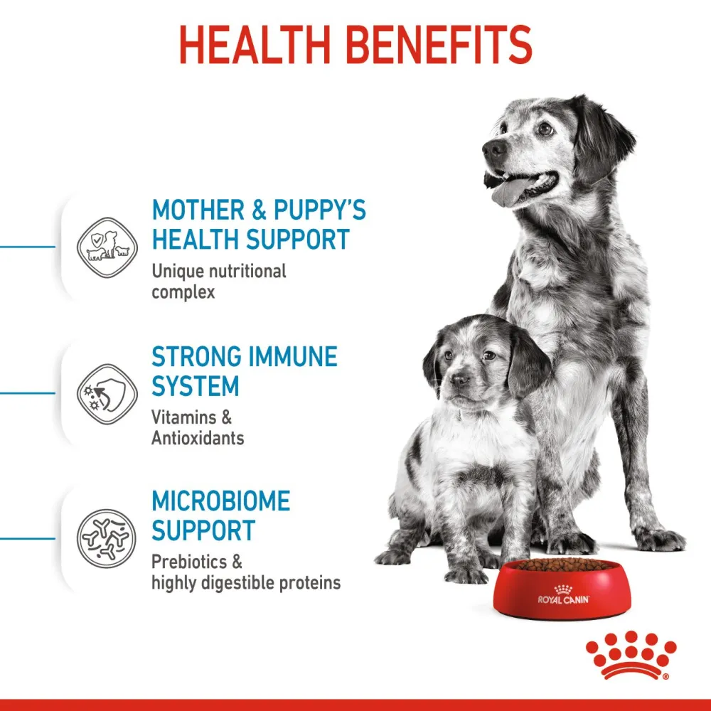 Royal Canin Medium Starter Dry Food for Medium Breed Dog and Puppies and Medium Puppy Dog Wet Food Combo