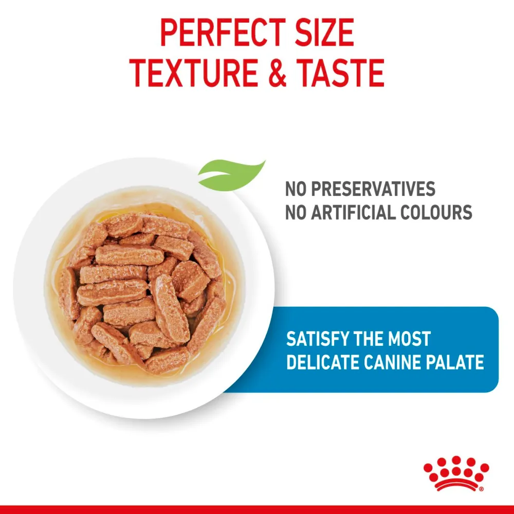 Royal Canin Medium Starter Dry Food for Medium Breed Dog and Puppies and Medium Puppy Dog Wet Food Combo