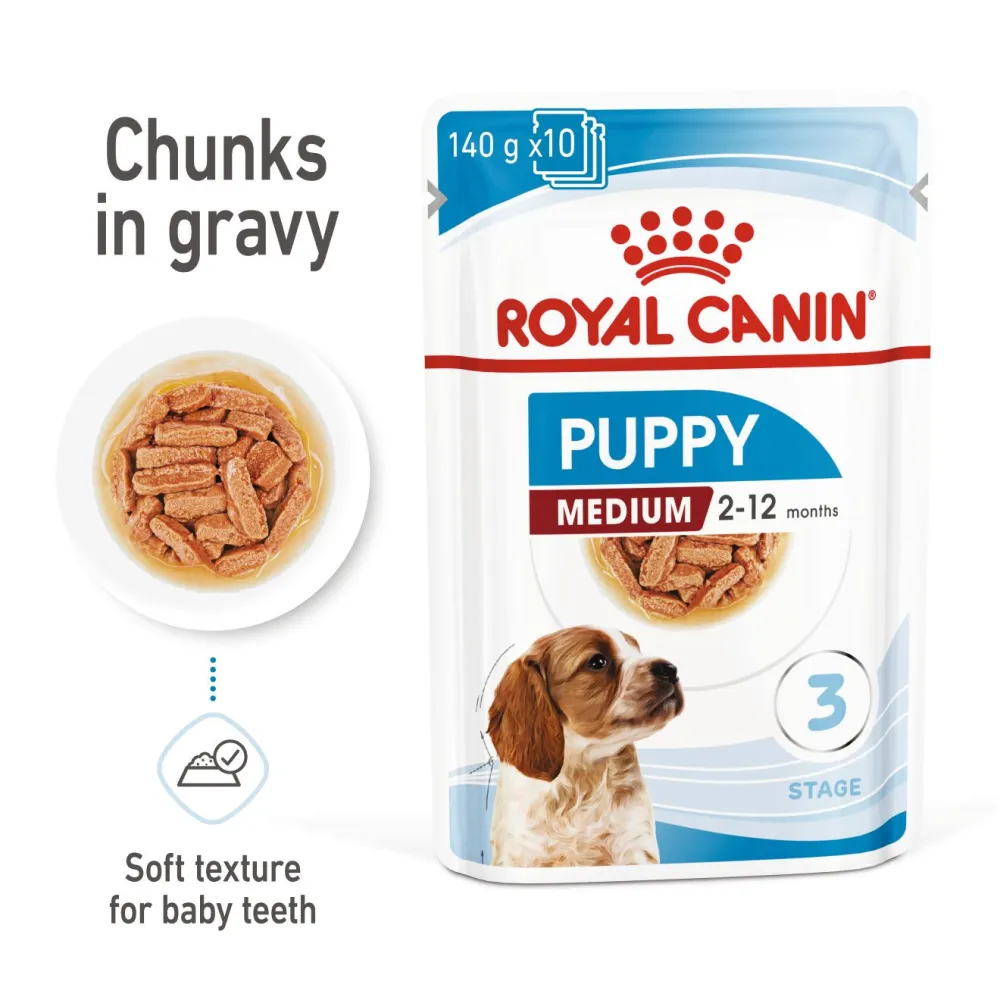 Royal Canin Medium Starter Dry Food for Medium Breed Dog and Puppies and Medium Puppy Dog Wet Food Combo