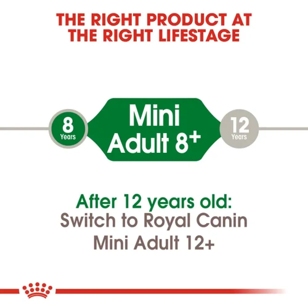 Royal Canin Mini 8  Adult Dog Dry Food