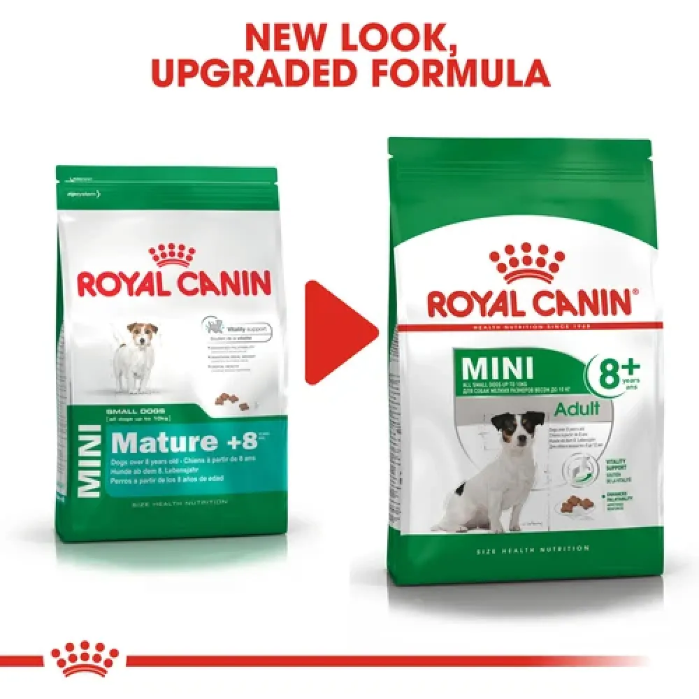 Royal Canin Mini 8  Adult Dog Dry Food
