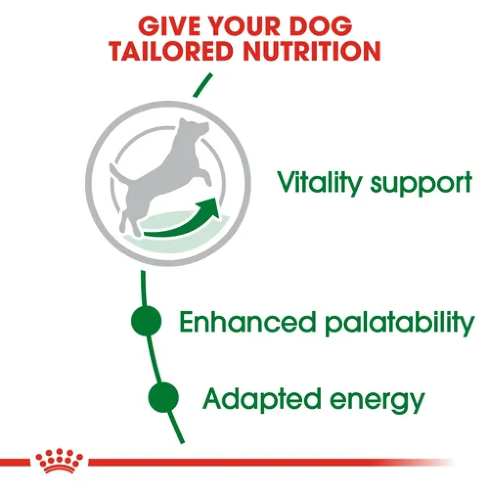 Royal Canin Mini 8  Adult Dog Dry Food