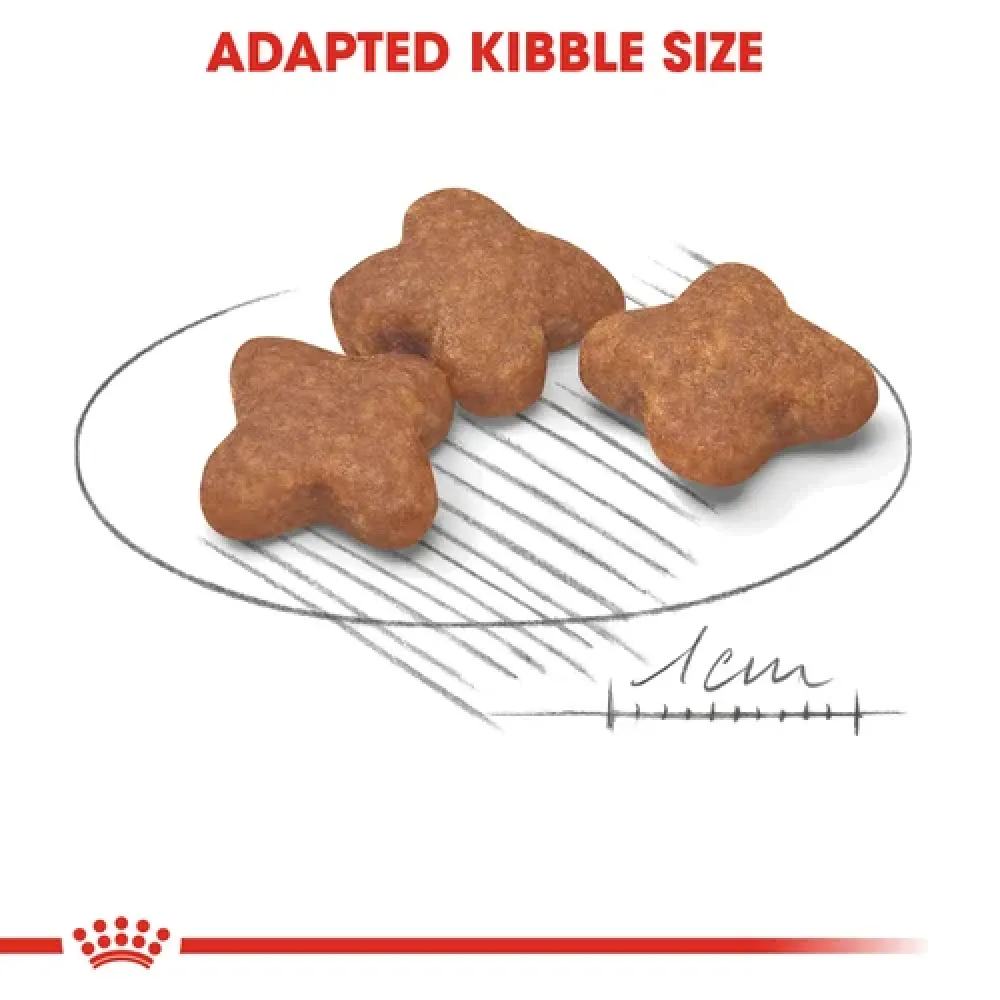 Royal Canin Mini 8  Adult Dog Dry Food