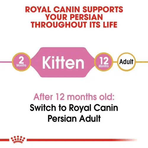 Royal Canin Persian Dry Food and Gravy Kitten Cat Wet Food Combo