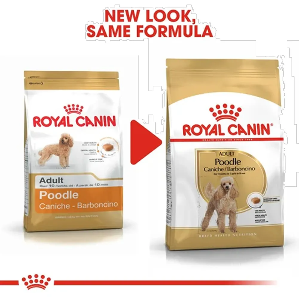 Royal Canin Poodle Adult Dog Dry Food