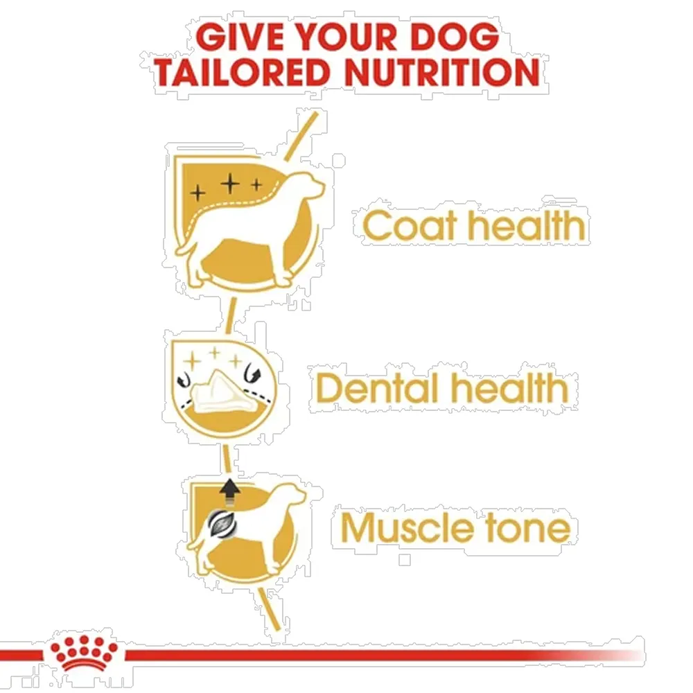 Royal Canin Poodle Adult Dog Dry Food
