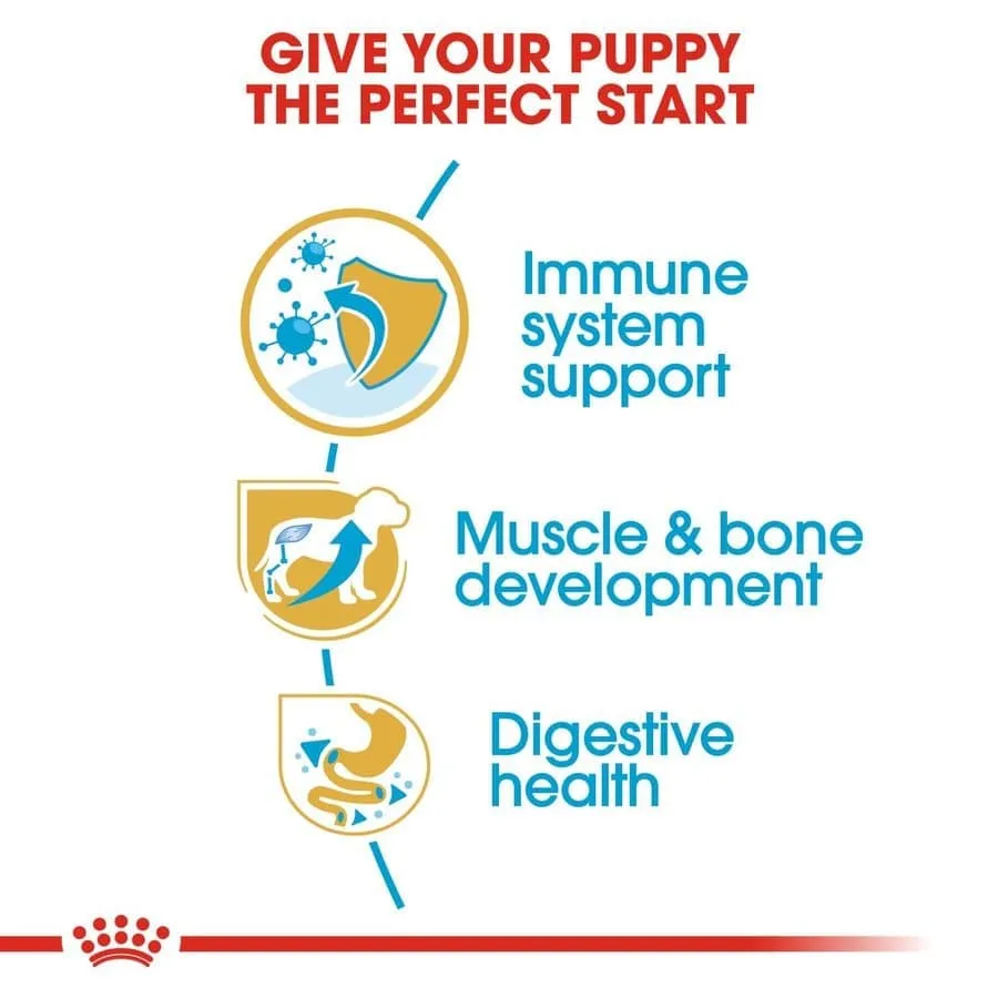 Royal Canin Rottweiler Puppy Dry Food and Maxi Puppy Dog Wet Food Combo