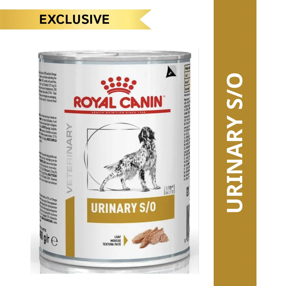 Royal Canin Veterinary Diet Urinary S/O Dog Wet Food