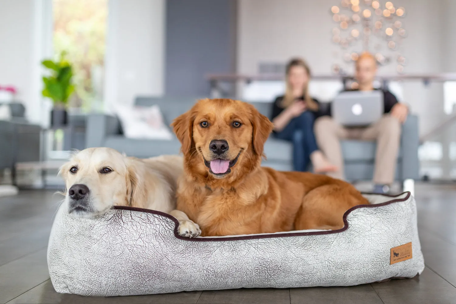 Savannah Lounge Bed