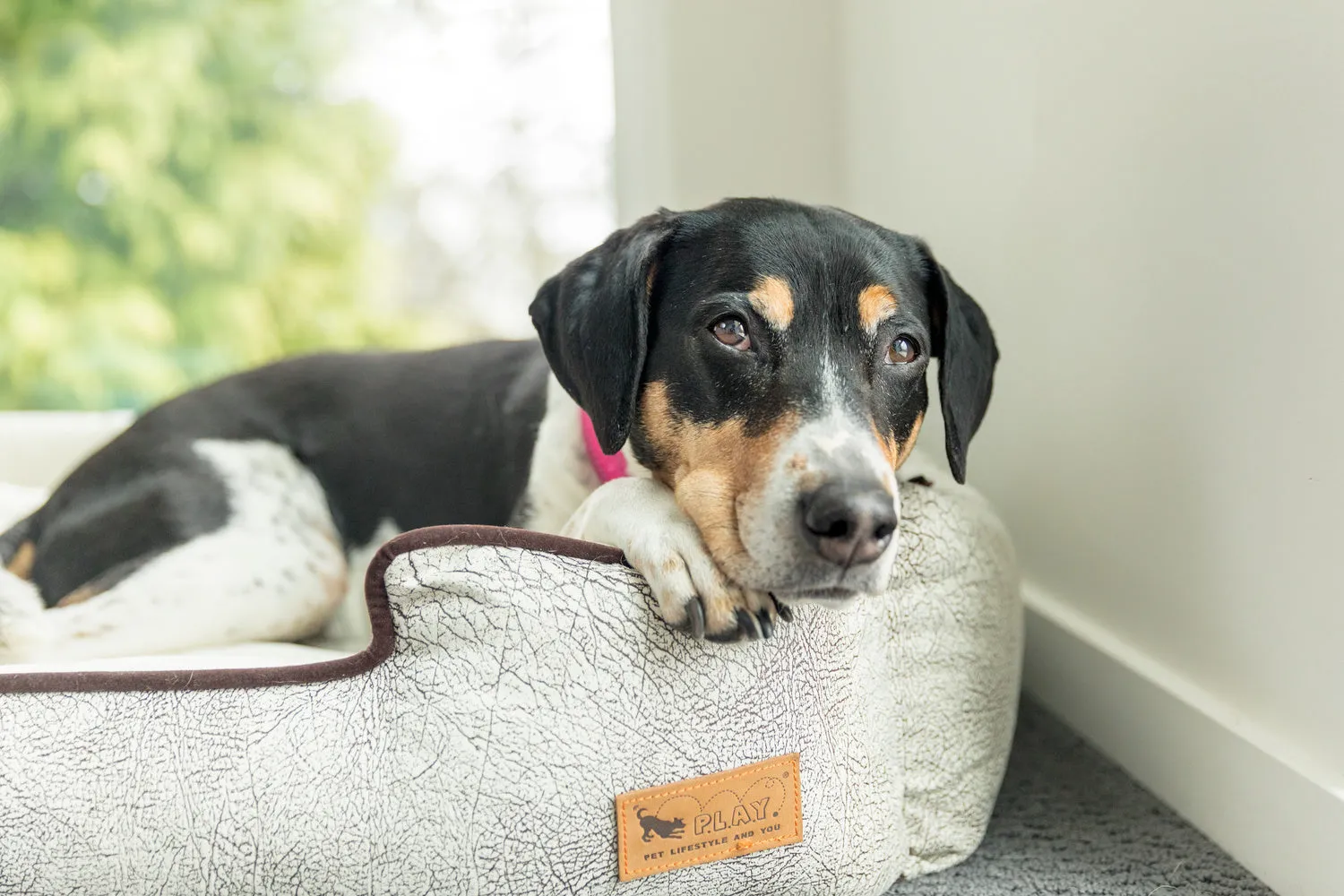 Savannah Lounge Bed
