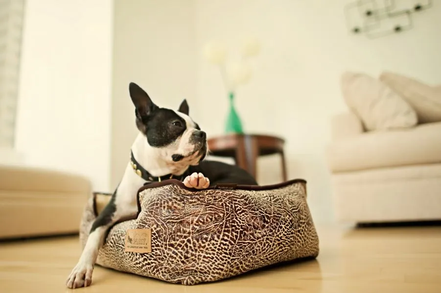 Savannah Lounge Bed