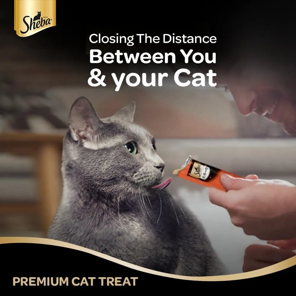 Sheba Chicken & Whitefish Sasami Melty Premium Treats and Trixie Catnip Play Spray for Cats Combo