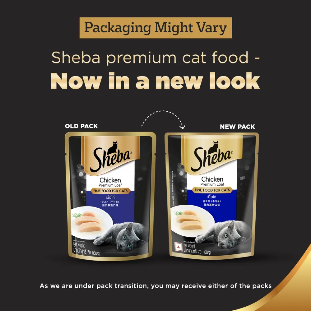 Sheba Chicken Loaf Rich Premium Adult Fine Wet Food and Chicken All Life Stage Cat Dry Food Combo