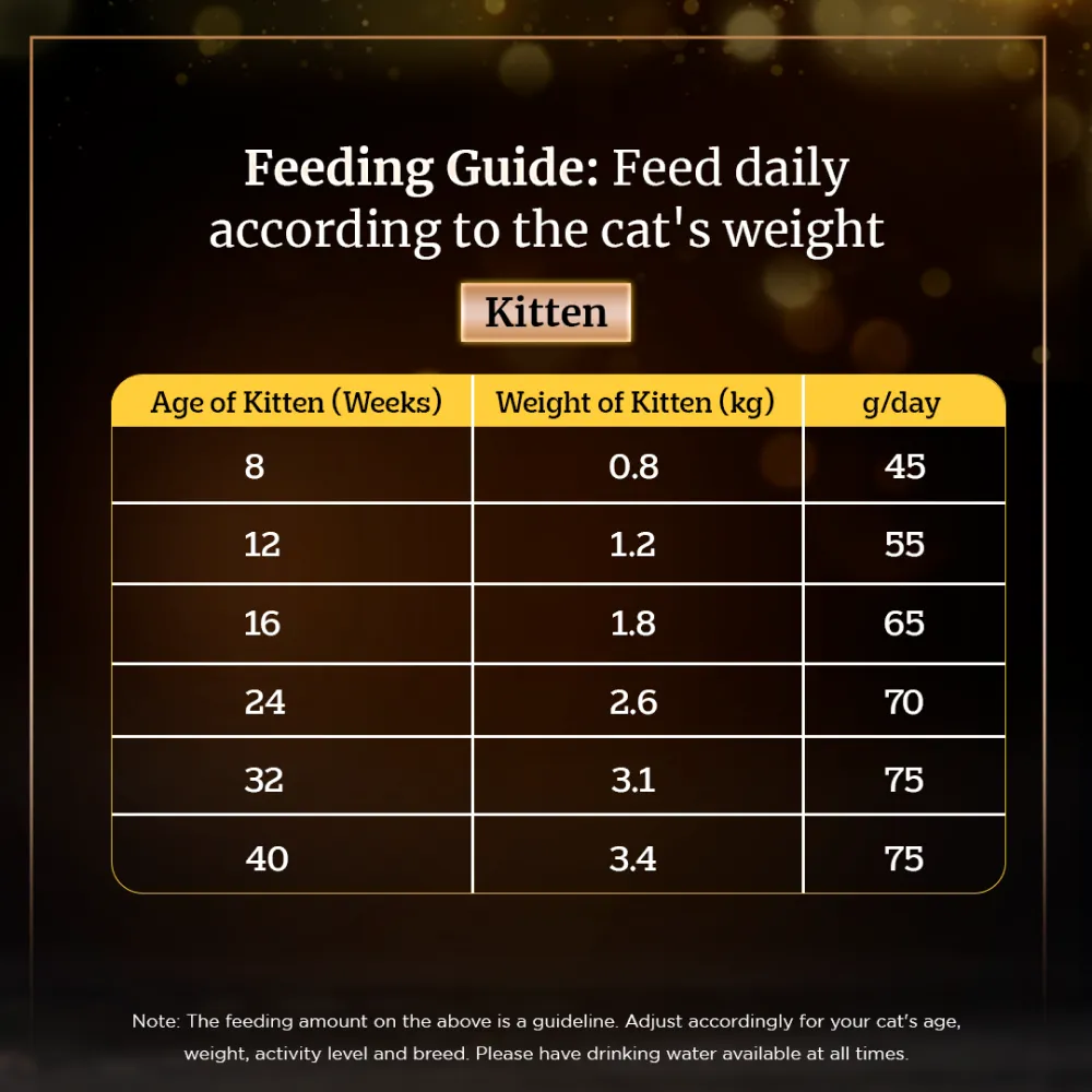 Sheba Chicken Loaf Rich Premium Adult Fine Wet Food and Chicken All Life Stage Cat Dry Food Combo