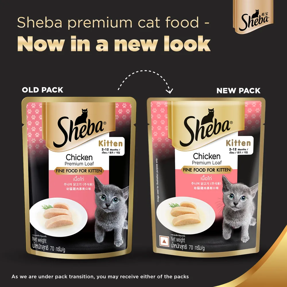 Sheba Chicken Loaf Rich Premium Kitten (2 to 12 Months) Fine Wet Food and Irresistible All Life Stage Cat Dry Food Combo